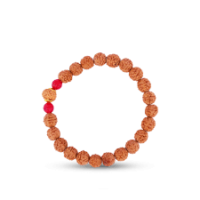 12 Mukhi Rudraksha Bracelet: A Tiny Bead with Big Vibes 12 mukhi rudraksha bracelet